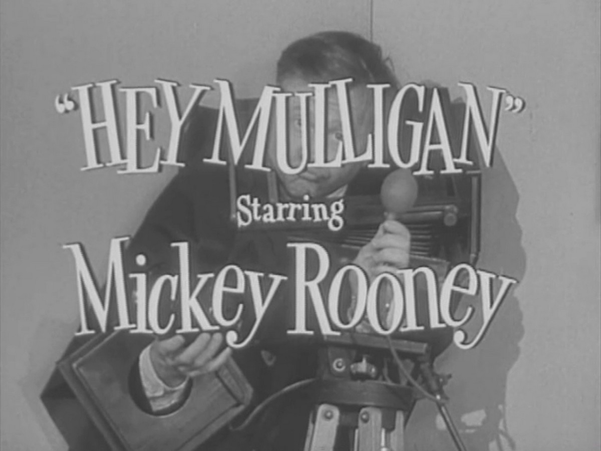 The Mickey Rooney Show